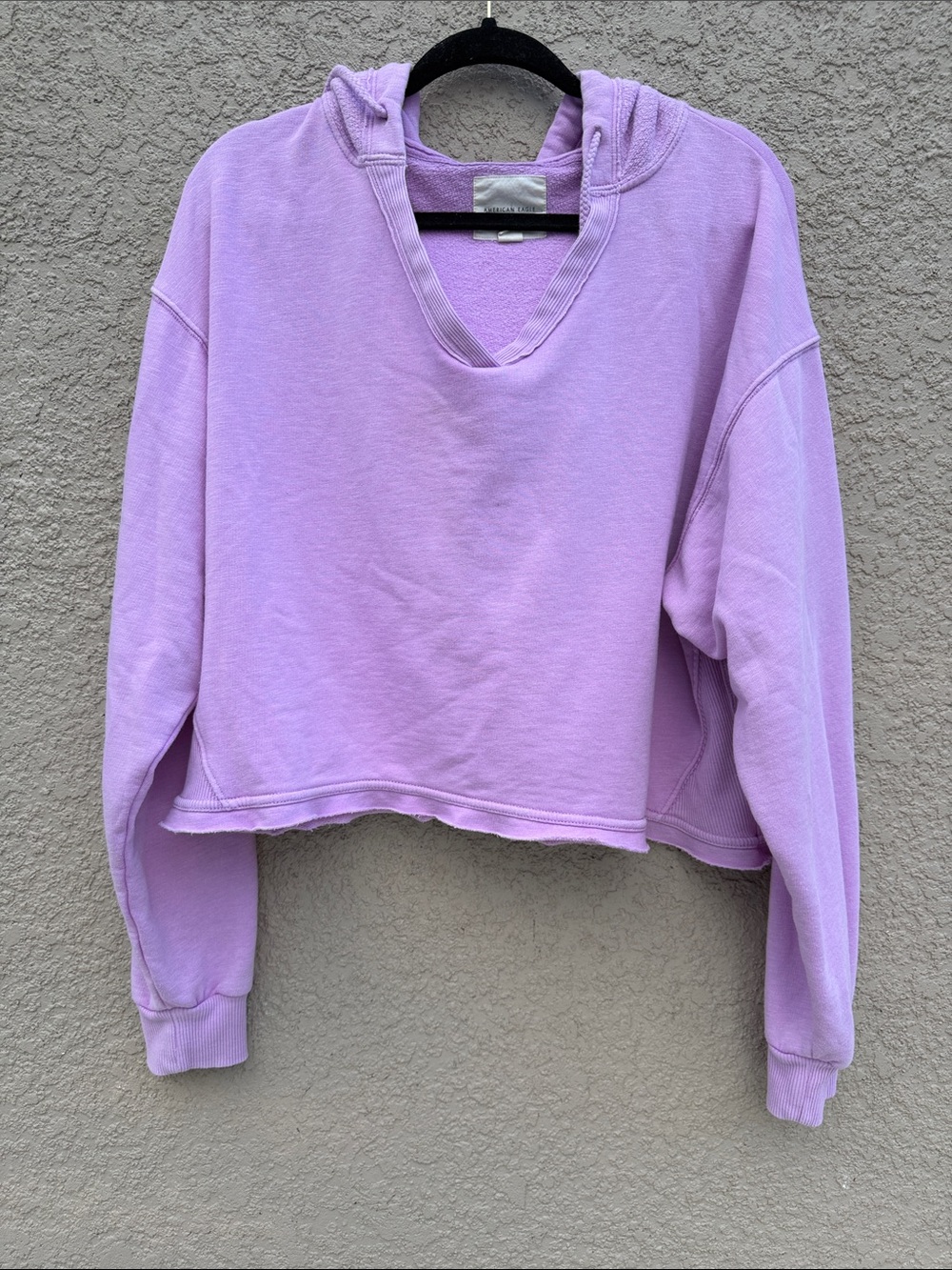 American Eagle Outfitters Lavender Cropped Hoodie
